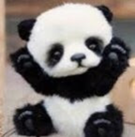 Meet your Posher, Liya - Picture 1 of 1